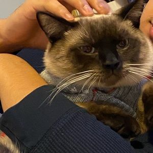 Meet your Posher, Alexandra mae